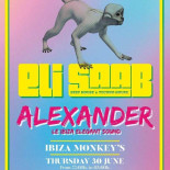 Ibiza Monkey's Cocktail And Pizzeria logo