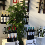 Morgan DistribuciÓn drink