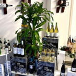 Morgan DistribuciÓn Bebida