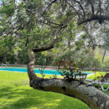 Morgan DistribuciÓn Exterior