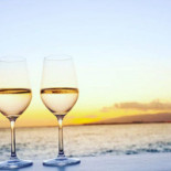 Morgan DistribuciÓn drink