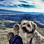 Ibiza Beach Bars outside