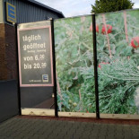 Zurito Pacha Ibiza outside