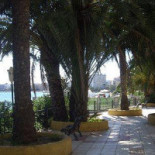 Magnus.ibiza Exterior