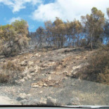 Chiringuito Cala Olivera outside