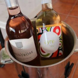 Nauti Lady Wine Club Bebida