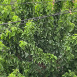 Hostal Labella S.l. Außen