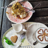 La Oca En El Océano food