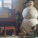 Casa Bonafé Ibiza Boisson