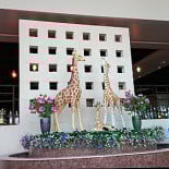 Buffet Libre Palau Exterior