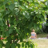 Pizzeria L'antica Romagna Exterior