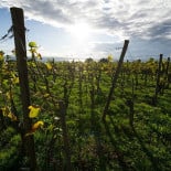 Pizzeria L'antica Romagna Exterior