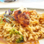 Jaima Meccarola Nourriture