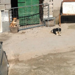 Casa El Lavijero Comida