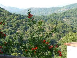 Mirador De La Sierra food