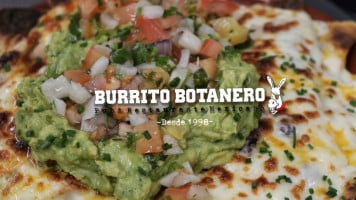 Burrito Botanero food