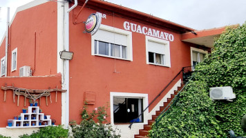 Guacamayo outside