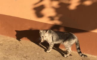 Farma Klínec inside