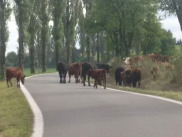 Golf Čertovo Břemeno Comida