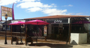 Citrus Surf Cafe outside