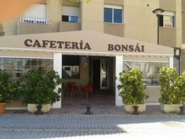 Cafeteria Bonsai food