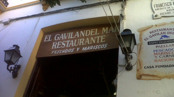 El Gavilan Del Mar outside