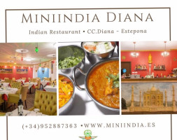 Mini India Diana food