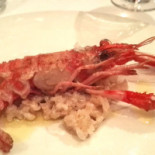 L'arengada Olot Food