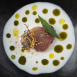 Fishølogy À l'intérieur