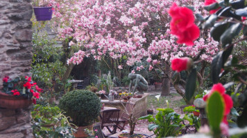 Café-Jardin Costa Vella outside