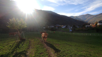 Rural Casa Grabelon Fuentes Del Narcea food