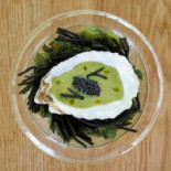 Fishølogy À l'intérieur