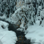 Hospoda U Oty Dentro