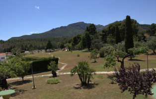 Buffet Les Planes Del Rei food