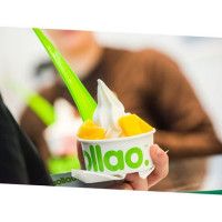 Llaollao food