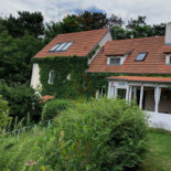 Medová Kavárna Comida