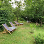 Medová Kavárna Dentro