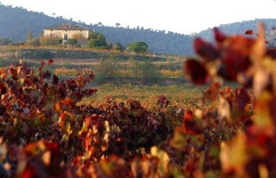 Mas Castell De Gimenelles outside