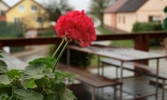 Hostinec U Zabaka Exterior