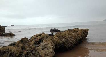 Las Gaviotas outside