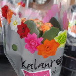 Forn Cafeteria Sant Jaume Minuman