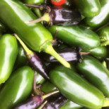 El Perro Verde Boisson