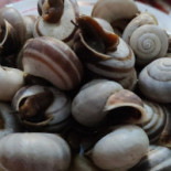 Meson El Camino Brenes Drink