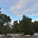 El Collao De La Seca Exterior