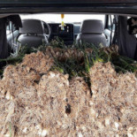 Cervecería Mesón Llambrión Extérieur