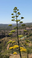 Camping Río Vero outside