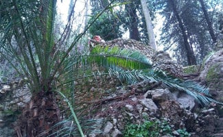 Fuente Del Rio outside