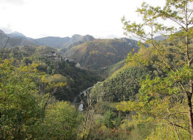 Sidrería Los Nogales De Caño outside