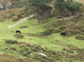 Sidrería Los Nogales De Caño outside