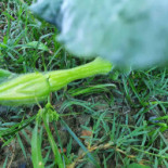 Aiarako Batzoki Berria Bebida